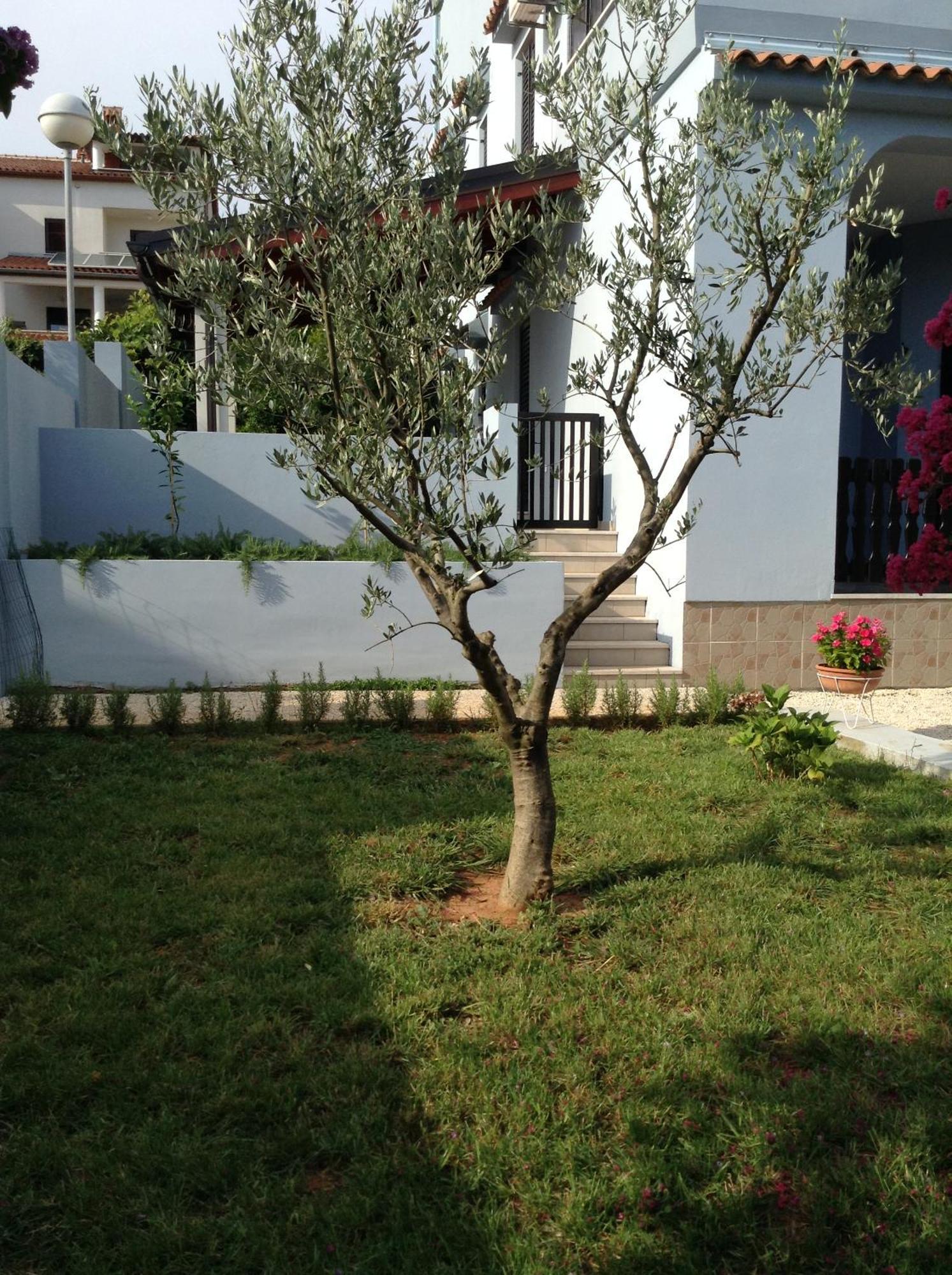 The Blue House Vinkuran Exterior foto