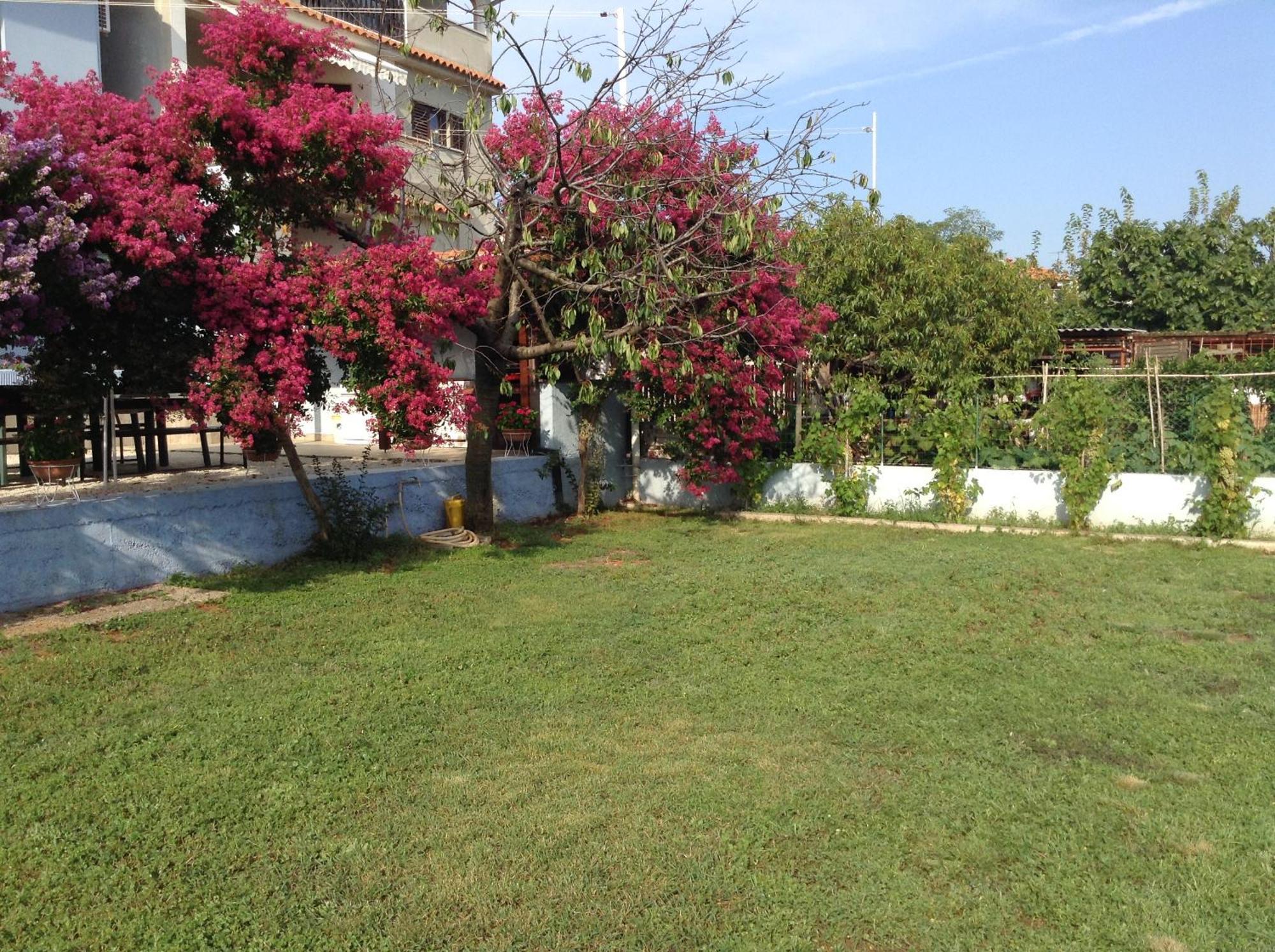 The Blue House Vinkuran Exterior foto